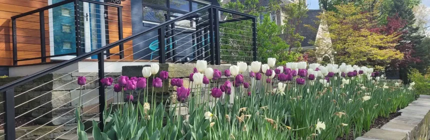 South Orange, NJ Landscape Design Services