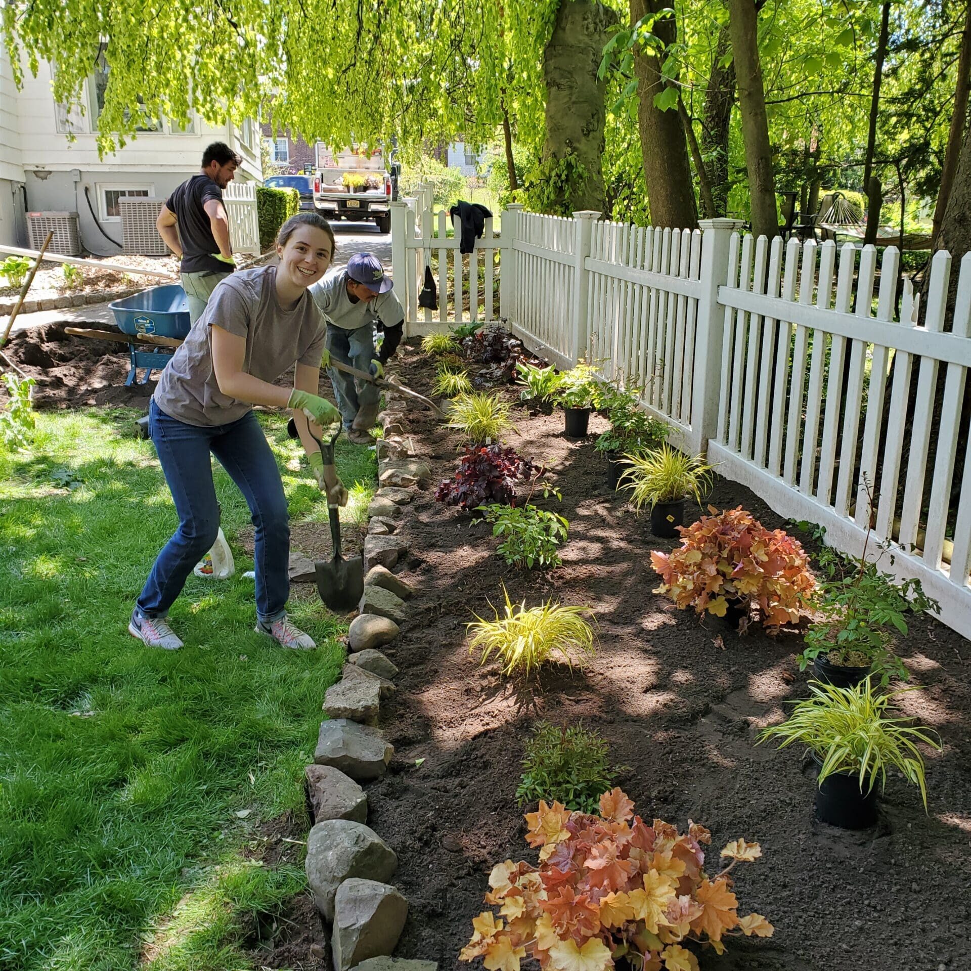 South Orange, NJ Plantings